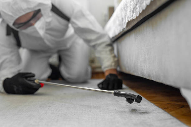 Professional Bed Bug Control technician working in Natchitoches Parish County, LA